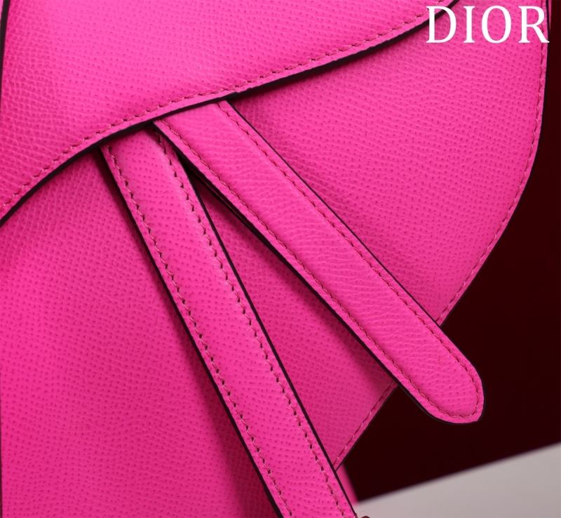 Christian Dior Saddle Bags